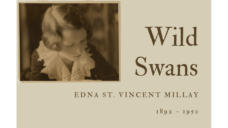 WILD SWANS - EDNA ST VINCENT MILLAY - Friendz10