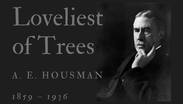 LOVELIEST OF TREES - A. E. HOUSMAN - Friendz10