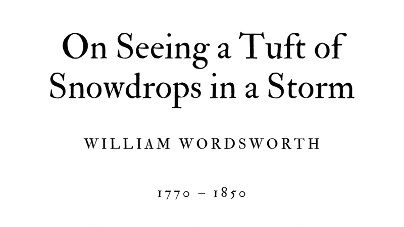 ON SEEING A TUFT OF SNOWDROPS IN A STORM - WILLIAM WORDSWORTH - Friendz10