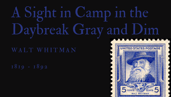 A SIGHT IN CAMP IN THE DAYBREAK GRAY AND DIM - WALT WHITMAN - Friendz10
