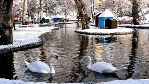 Başkent Ankara’nın Unutulmaz Parkı: Kuğulu Park