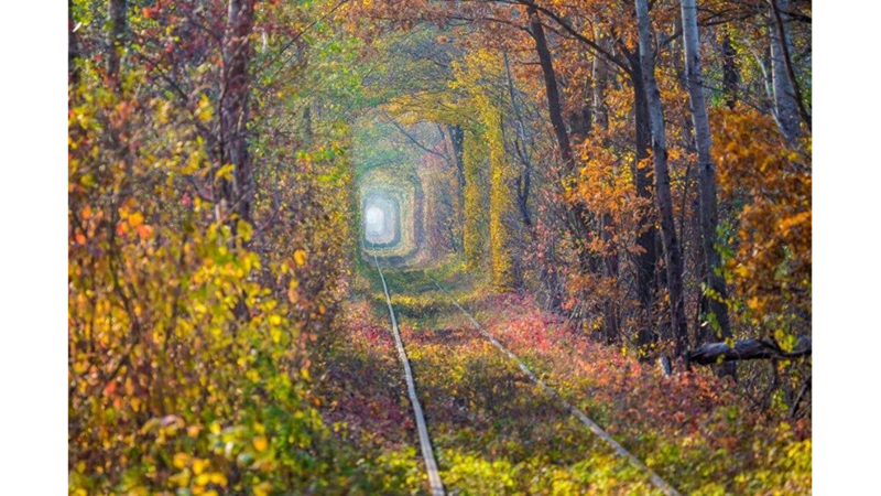 A FAIRY STOP IN UKRAINE: THE TUNNEL OF LOVE