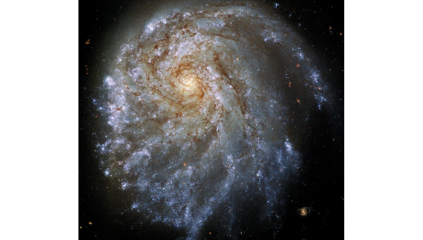 SPIRAL GALAXY OUT OF PROPORTION TO OTHER SPIRAL GALAXIES -Friendz10