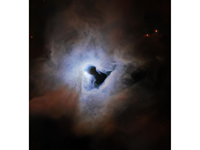 WITH IT'S PICTURESQUE APPEARANCE: THE REFLECTION NEBULA