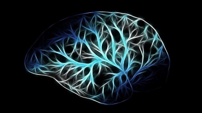 Beyin Dalgaları ve Tedavi Yöntemleri (V) – Friendz10