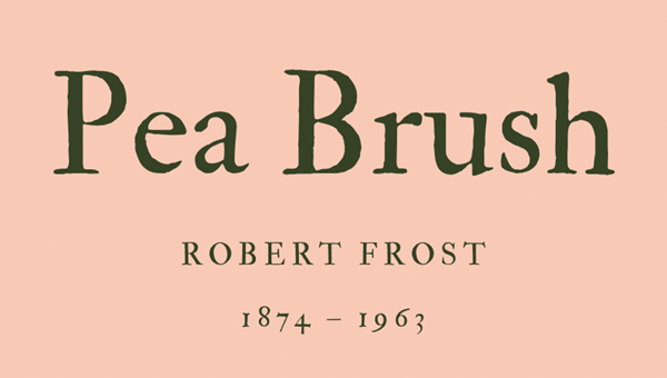 PEA BRUSH - ROBERT FROST