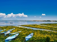 Beyşehir Gölü Milli Parkı – Konya