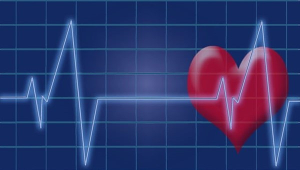 Kalp nasıl elektrik üretir