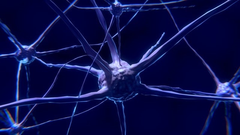 Beyin Dalgaları ve Tedavi Yöntemleri (II) – Friendz10