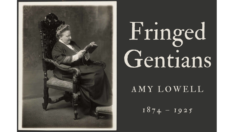 FRINGED GENTIANS - AMY LOWELL - Friendz10