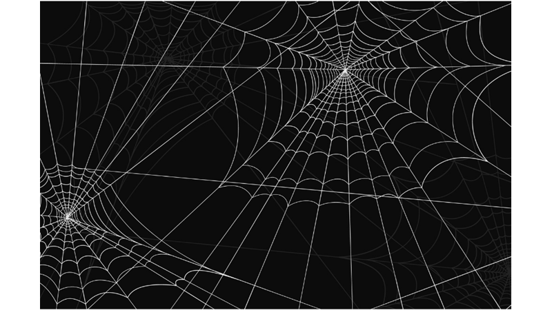 Örümcek Ağının Özelliği Nedir?