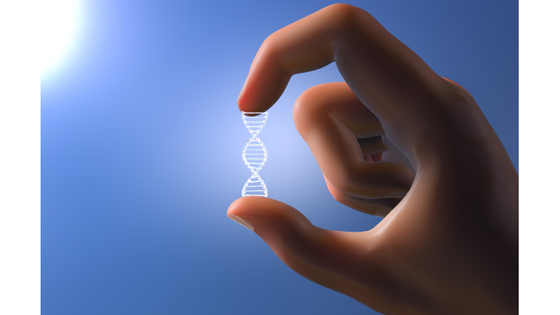 DNA’mıza Bilgi Yüklemek