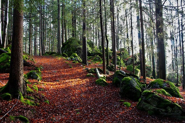 Huzura Giden Yol