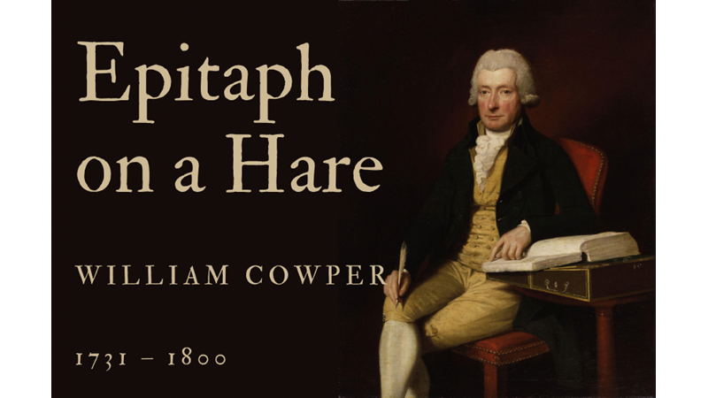 EPITAPH ON A HARE - WILLIAM COWPER - Friendz10