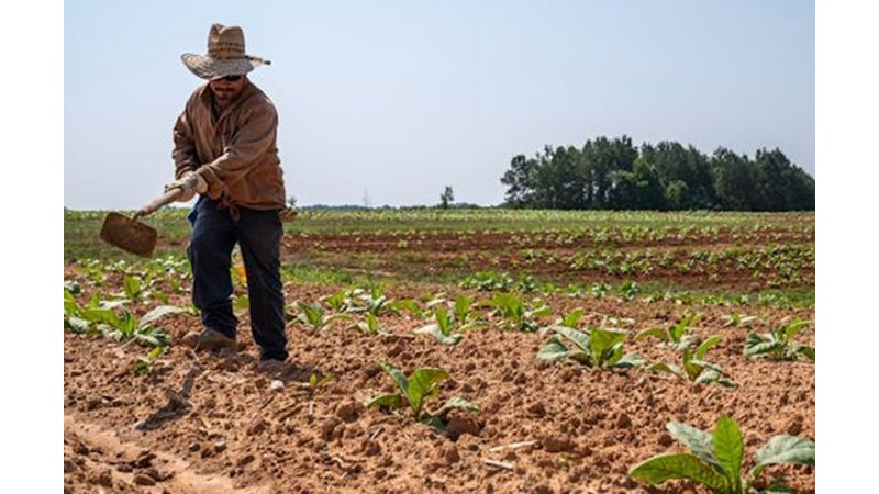Her Şeyi Yaptığını Zannetmek