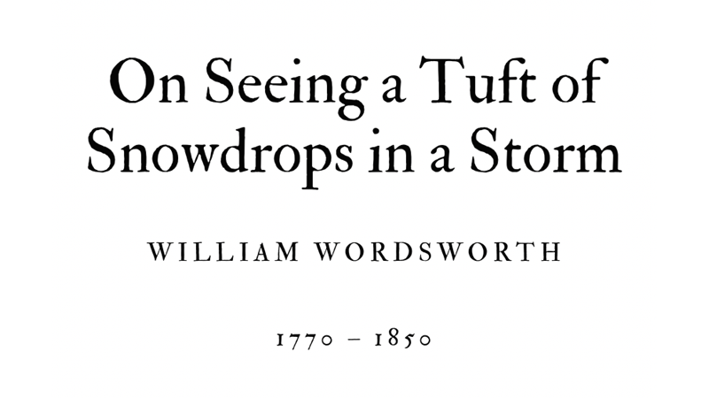 ON SEEING A TUFT OF SNOWDROPS IN A STORM - WILLIAM WORDSWORTH - Friendz10