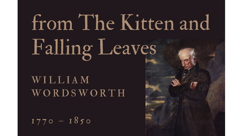 FROM THE KITTEN AND FALLING LEAVES - WILLIAM WORDSWORTH - Friendz10