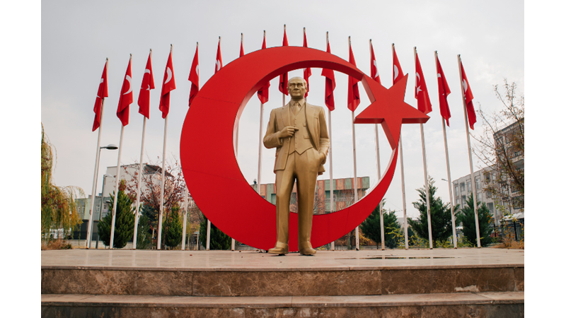 Kurtuluş Savaşı ve Silah Alımı