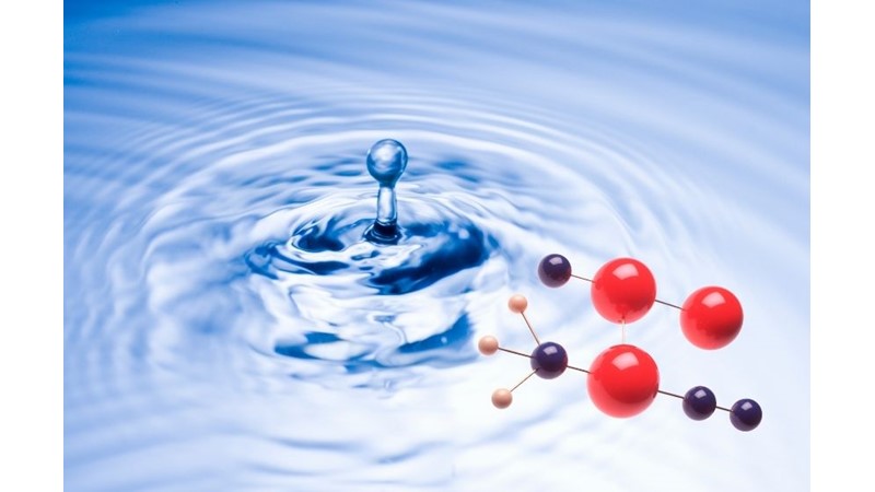 C-12 Elementi ve Fred HOYLE