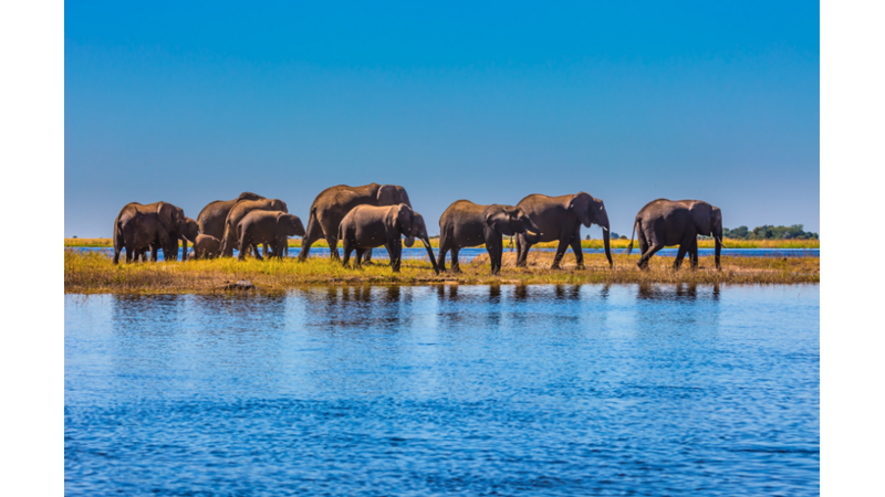 Cüsse İle Sayı Orantısı