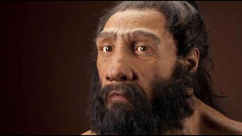 Yaşanmış İlk Cinayet: Neanderthal Cinayeti