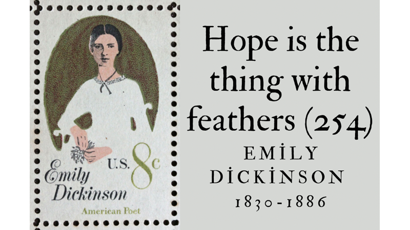 HOPE IS THE THING WITH FEATHERS (254)
