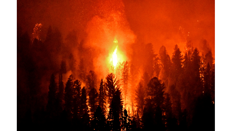 İstanbul'daki Yangınlar ve İtfaiye
