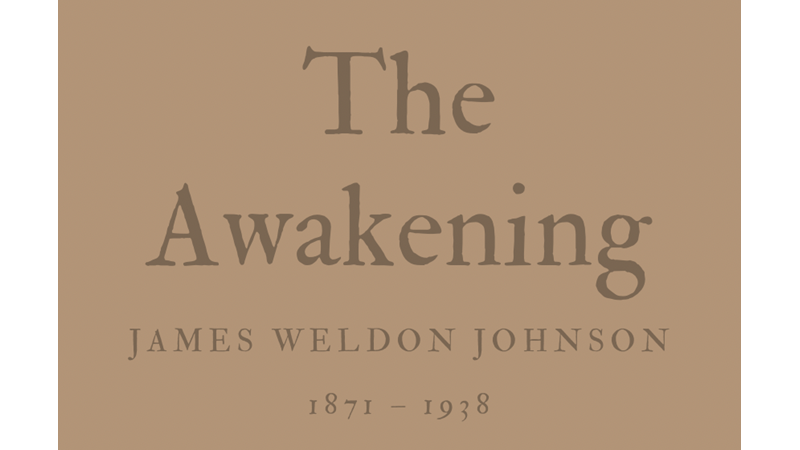 THE AWAKENING - JAMES WELDON JOHNSON