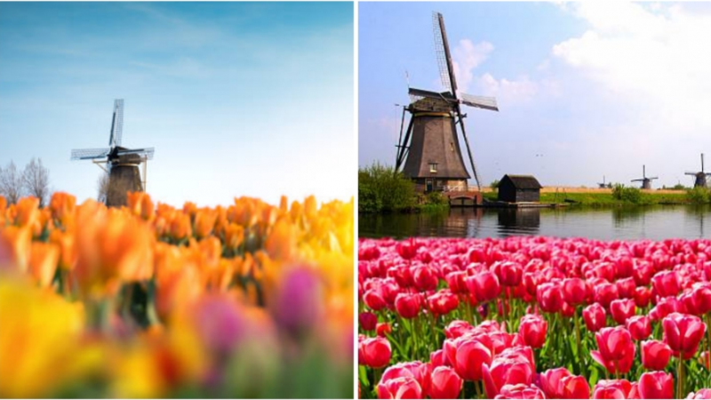 CYCLING TOUR IN THE NETHERLANDS -Friendz10