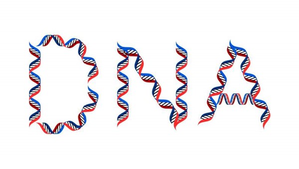 Şaşırt Bizi DNA