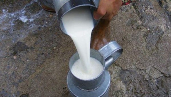 Endüstriyel süt sorunsalı