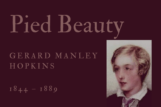 PIED BEAUTY - GERARD MANLEY HOPKINS - Friendz10