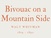 BIVOUAC ON A MOUNTAIN SIDE - WALT WHITMAN