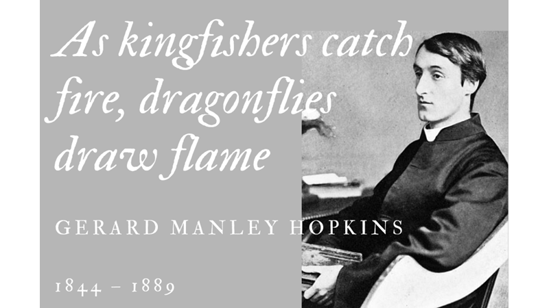 AS KINGFISHERS CATCH FIRE, DRAGONFLIES DRAW FLAME - GERARD MANLEY HOPKINS - Friendz10