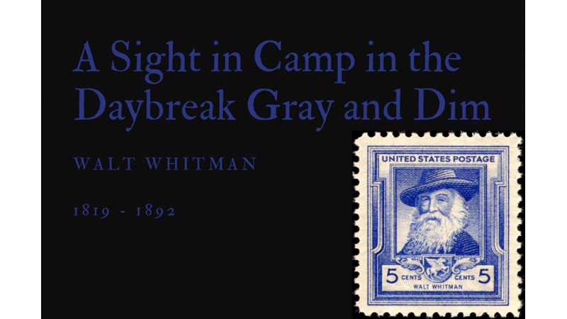 A SIGHT IN CAMP IN THE DAYBREAK GRAY AND DIM - WALT WHITMAN - Friendz10