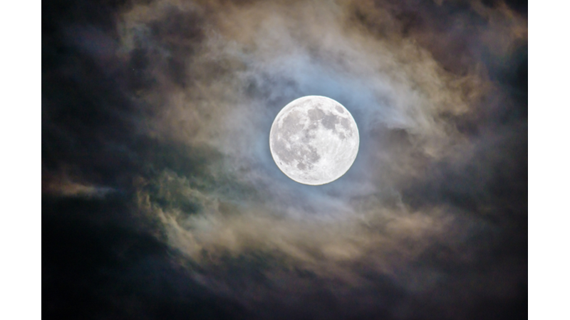 SEZGİ TESTİ YAPMA ZAMANI!