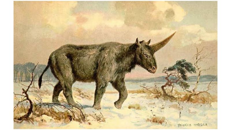 TÜM HAYVANLARIN ATASI