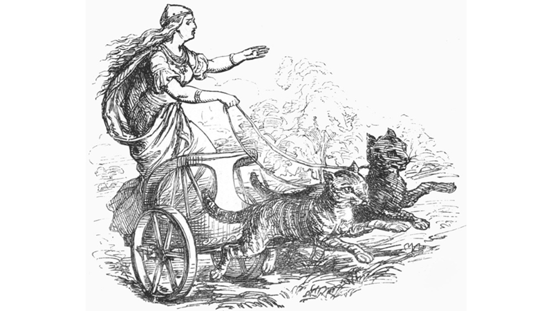 ZAFERE GİDEN YOL MÜBAHTIR: FREYA