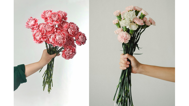 KARANFİL KOKUYOR İÇERİĞİM