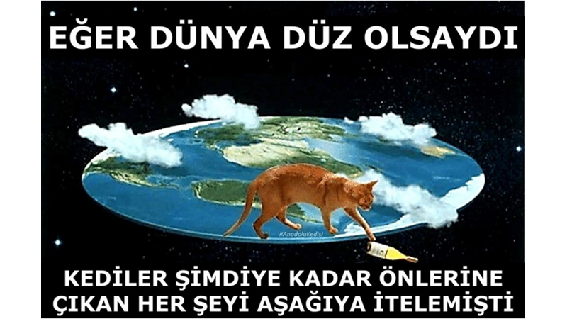 KEDİLERİN ANLAM VERİLEMEYEN DAVRANIŞLARININ PSİKOLOJİK SEBEPLERİ