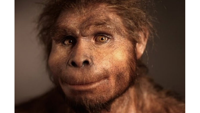 İNSANLARIN TEN RENGİ ŞİMDİKİ GİBİ AYRILMADAN ÖNCE HANGİ TEK RENGE SAHİPTİ?