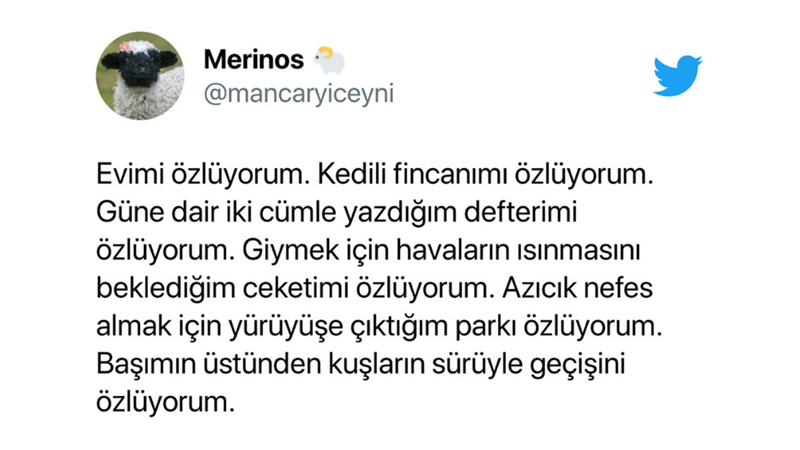 DEPREMDEN ETKİLENENLER İÇİN UZUN VADELİ YARDIM OLARAK NELER YAPILABİLİR?