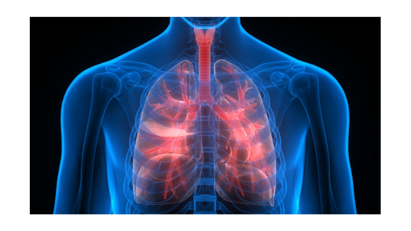 VÜCUDUMUZDA YAKTIĞIMIZ YAĞ KÜTLELERİ NEREYE GİDİYOR?