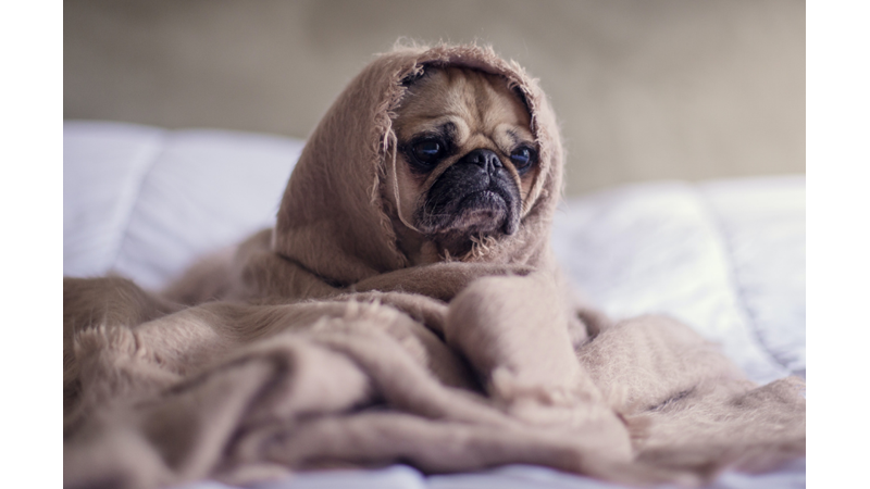 NE KADAR UYUSAM DA DİNLENMİŞ UYANAMIYORUM: HİPERSOMNİ -Friendz10