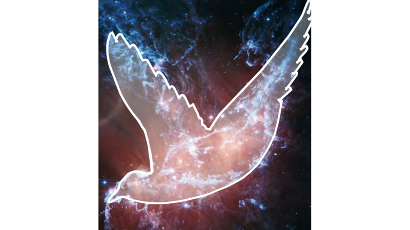 RAVEN IN THE GALAXY: NGC 346 -Friendz10