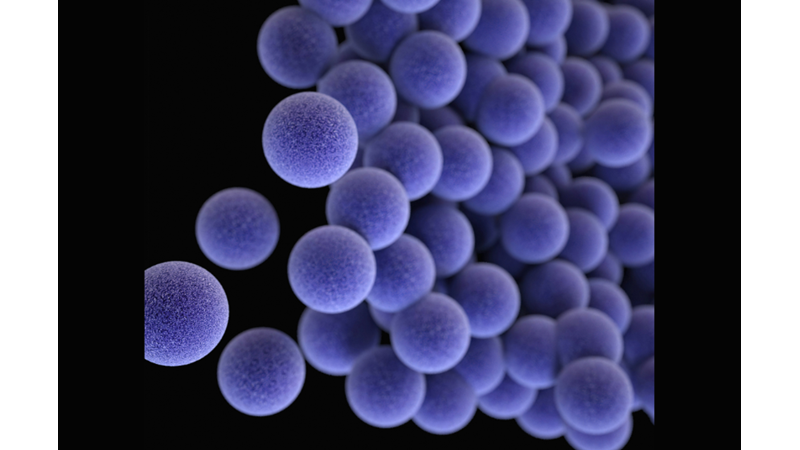 THE NUMBER OF BACTERIA IN YOUR MOUTH IS MUCH MORE THAN PEOPLE IN THE WORLD! -Friendz10