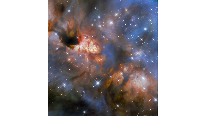 SCORPIUS TAKIMYILDIZINDA BİR PROSTAR
