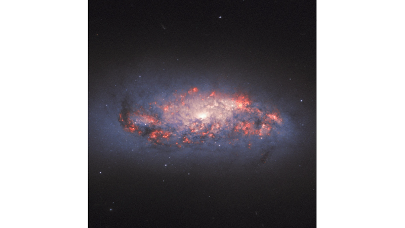 BİR ÇİÇEĞİN ORTASI GİBİ: NGC 972