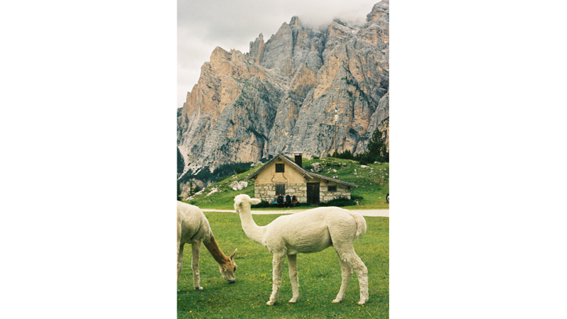 FOTOĞRAF ALBÜMÜ: SOSYAL MEDYADA FARK YARATACAK HESAPLARDAN