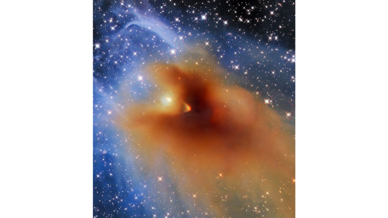 OR STAR DEVOURING SPACE MONSTER? -Friendz10